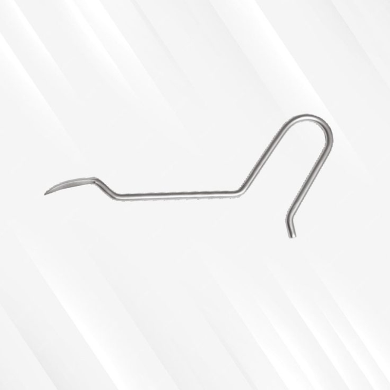 Bone Awl Curved