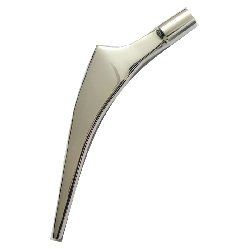 Cemented Stem (Polished)
