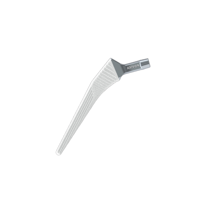 Uncemented Hip Stem